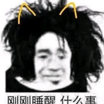 言枫