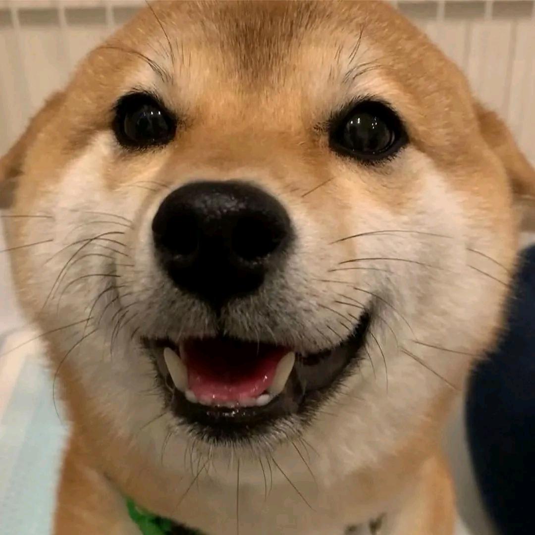 小时候可俊了