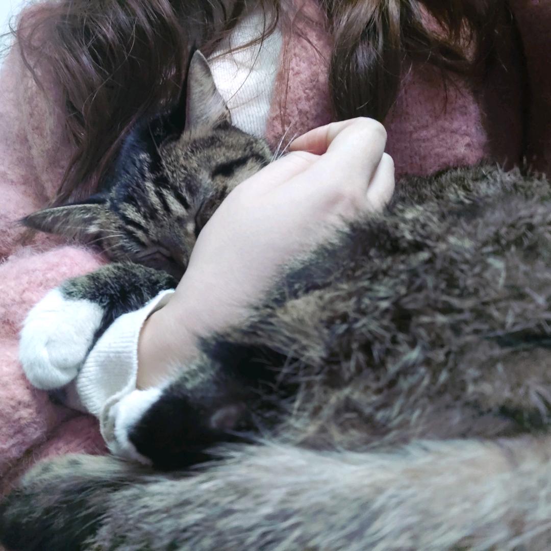 钱多多（见过张杰版）