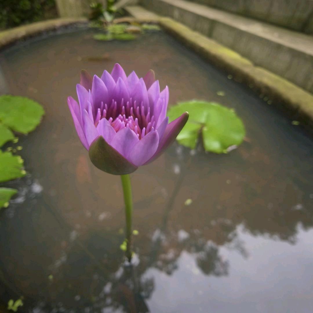 夏天的雨🌞