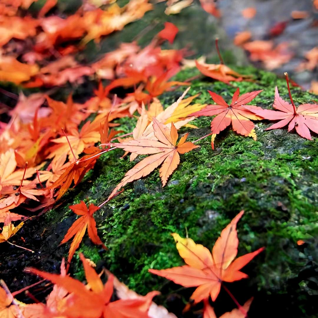 心向阳，处处都有光