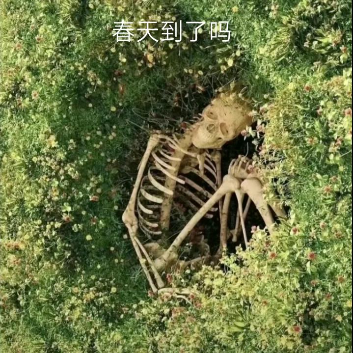 玛卡巴卡