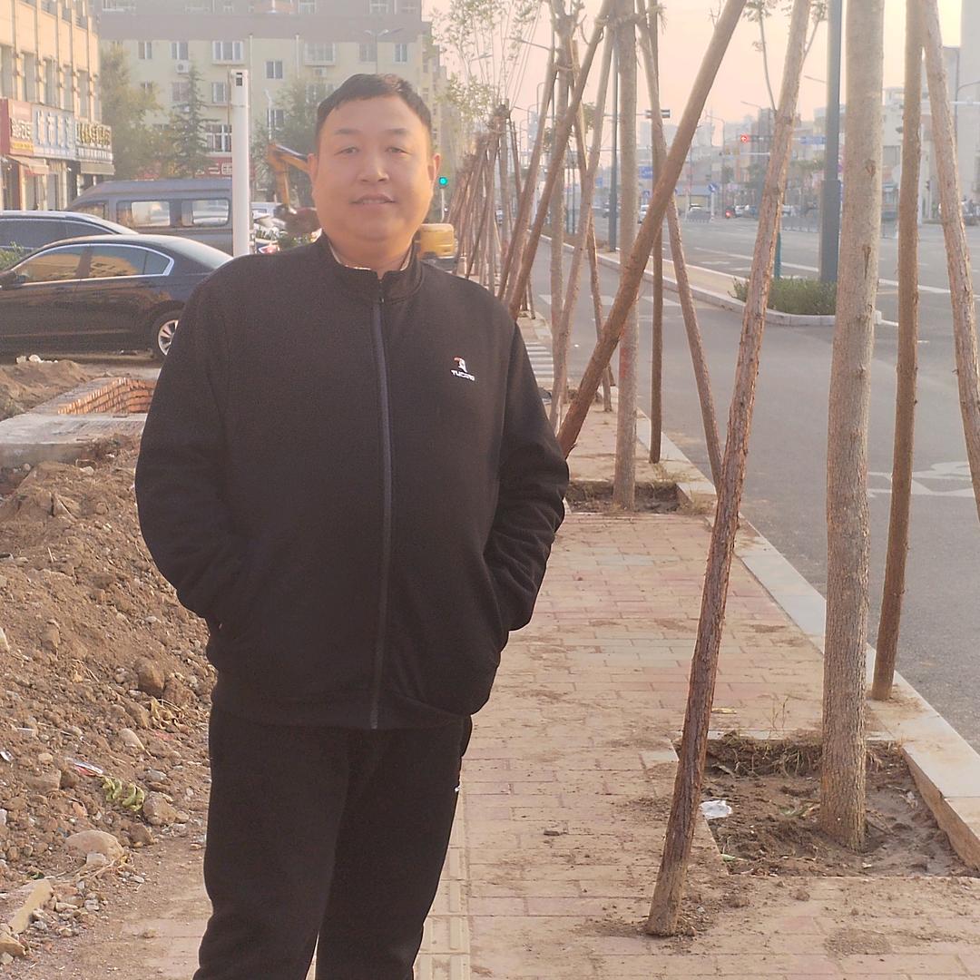 黑松基地造型松