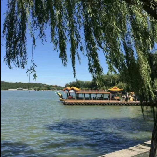 己所不欲，勿施愚人。