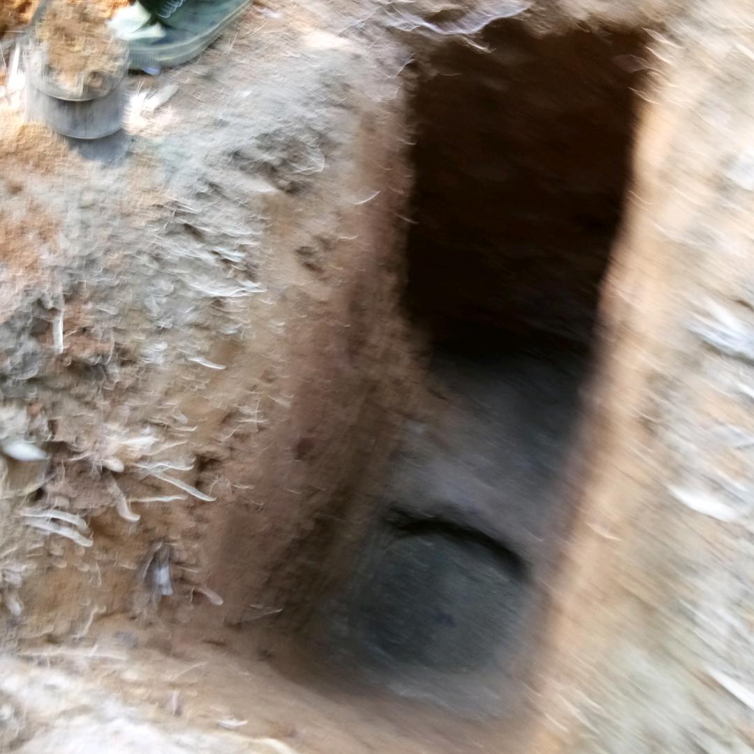 易文菥