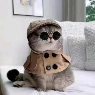 旅行推荐官--火🔥火