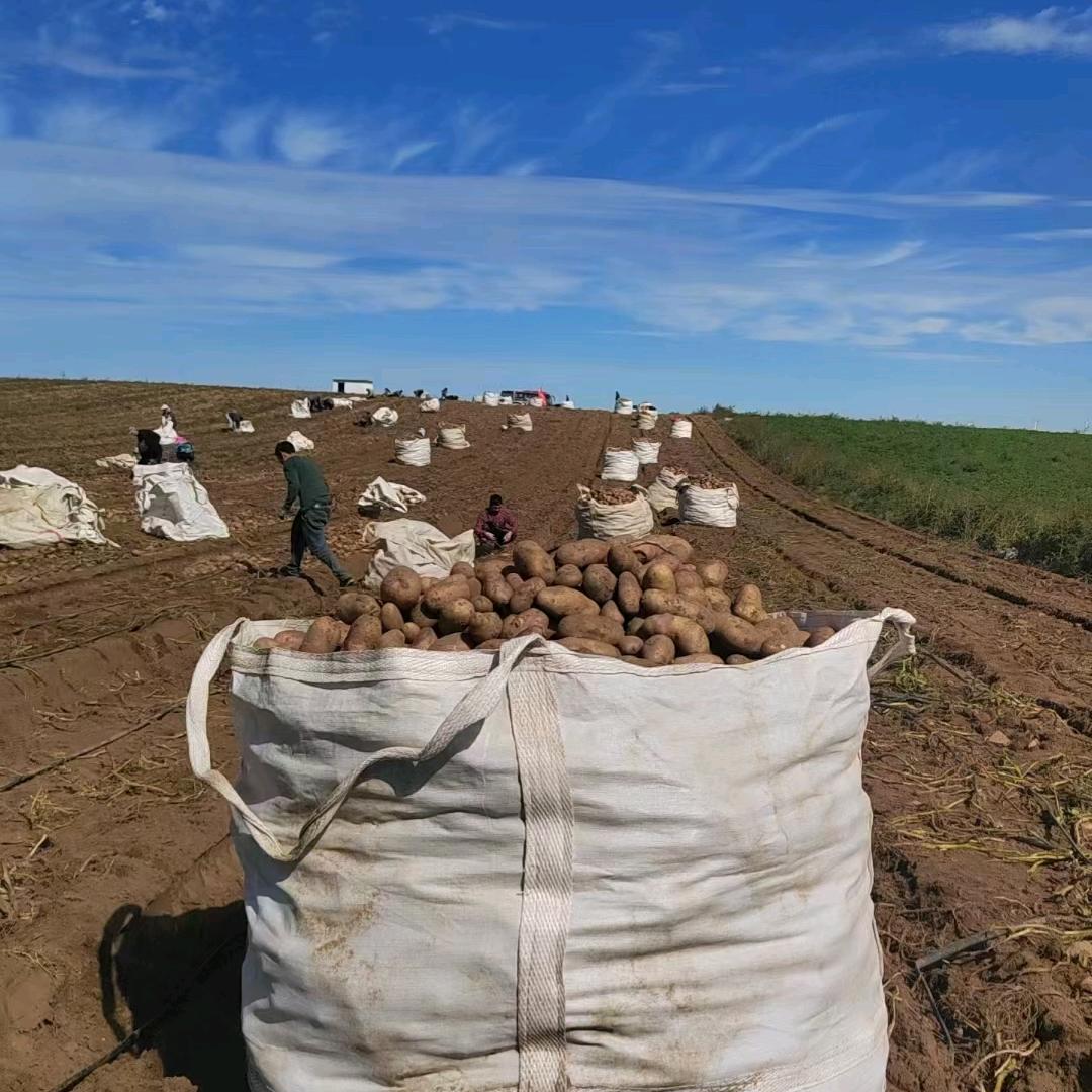乡村助农常年有活