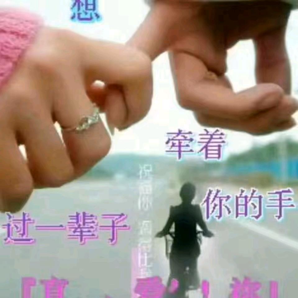单身哥