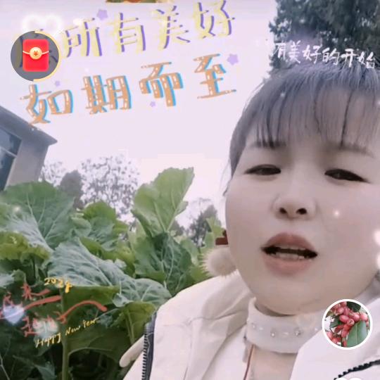 糖宝宝：