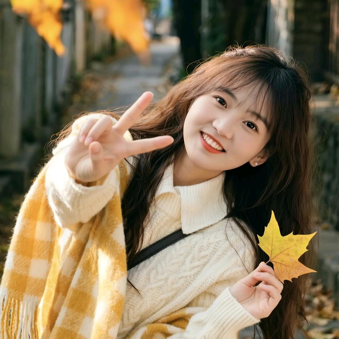 ✨精宝✨
