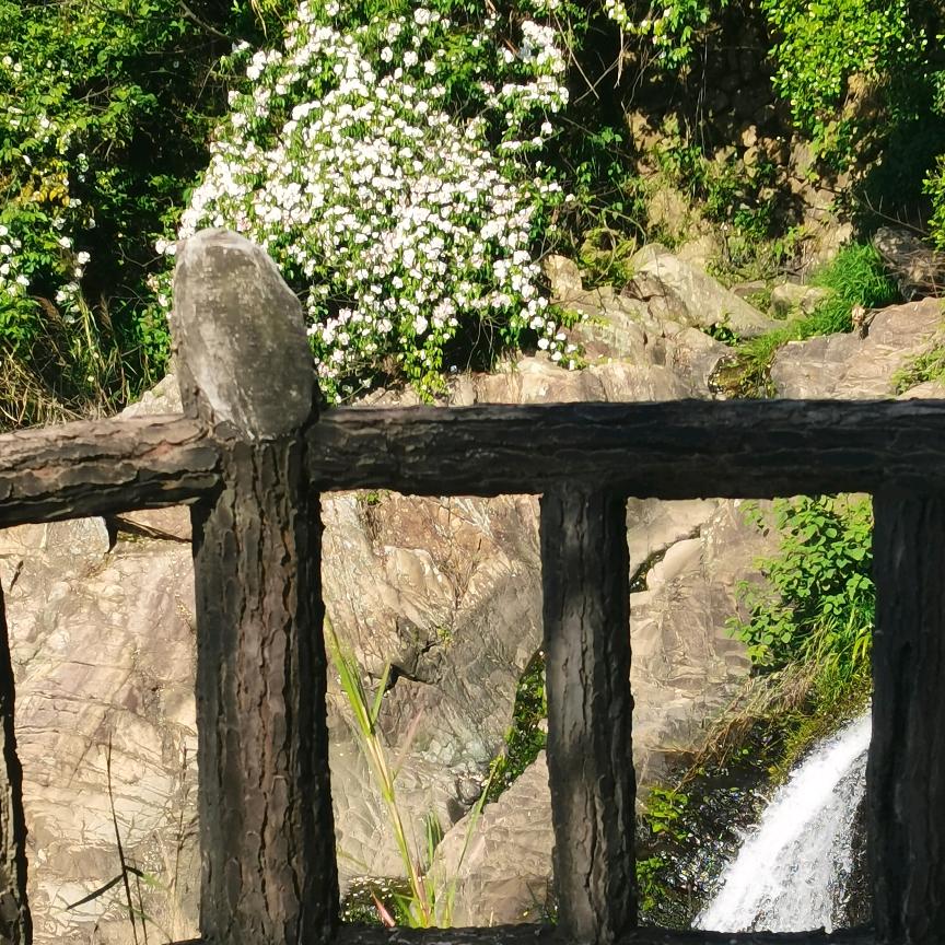 陆柒八