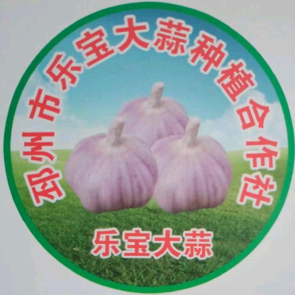 乐宝大蒜合作社