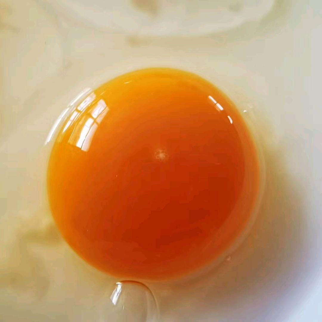 小鸡蛋大世界