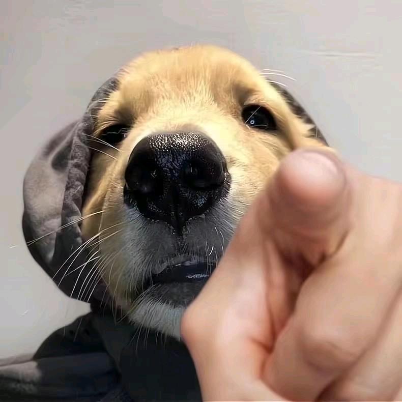 ～