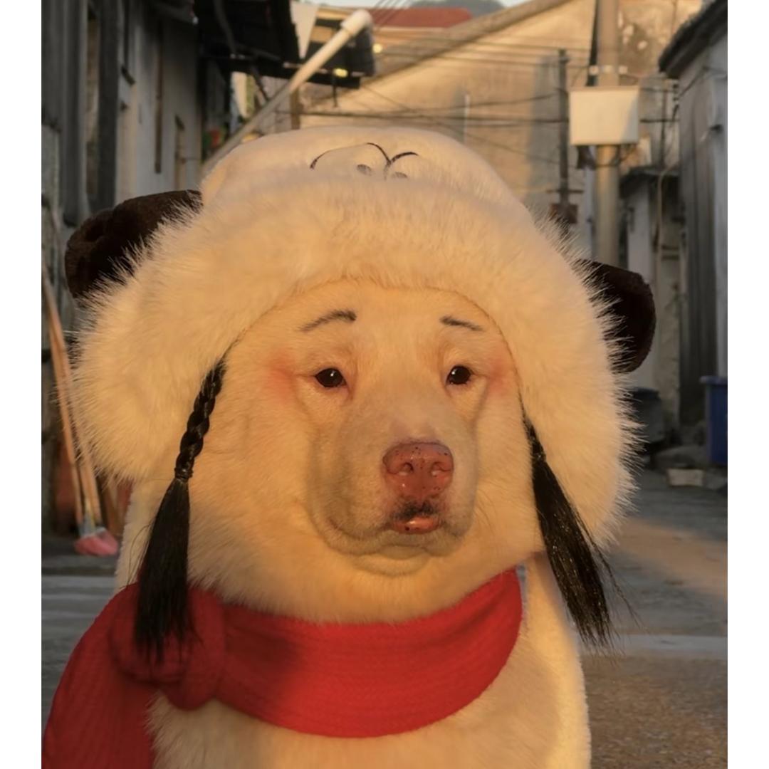 小脑斧😺