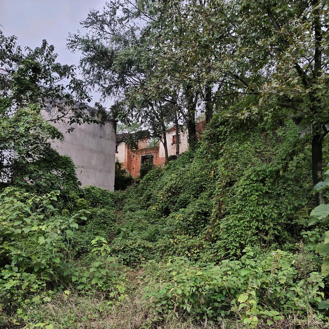 幸福约定