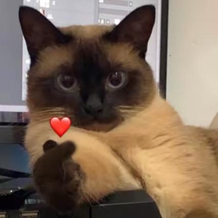 财从四面八方来到我口袋