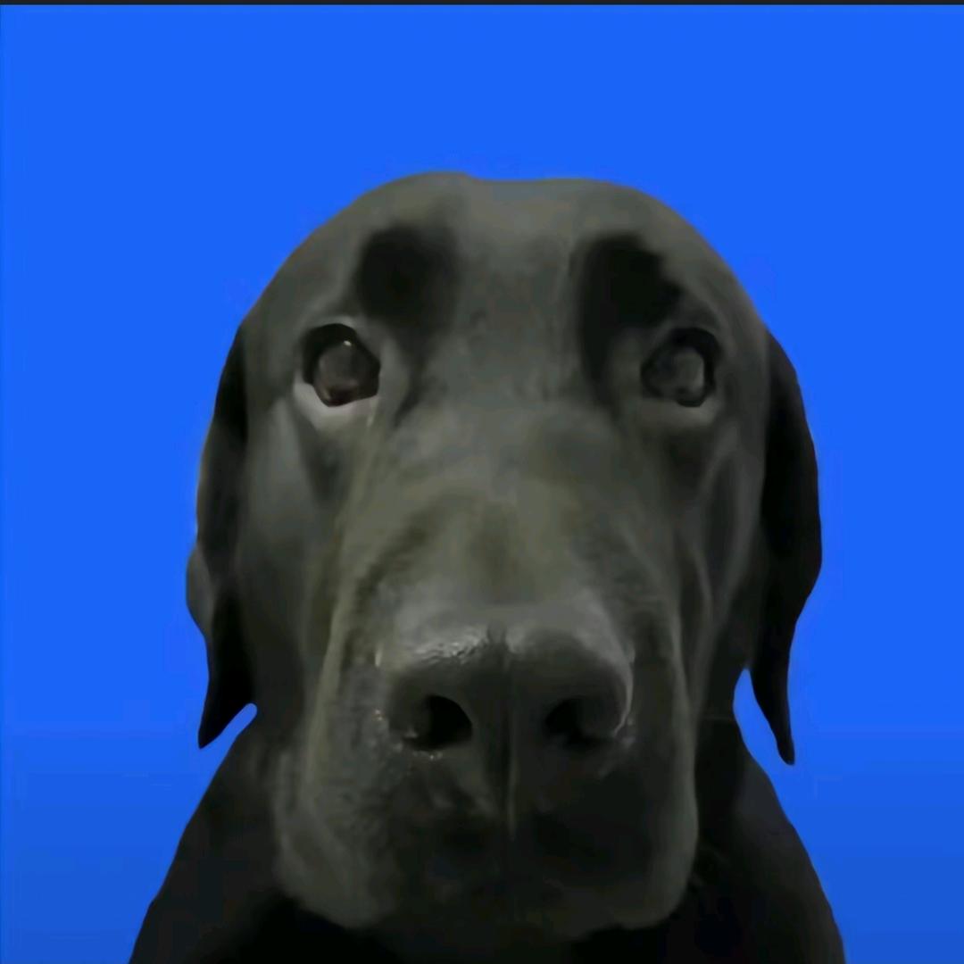 lll