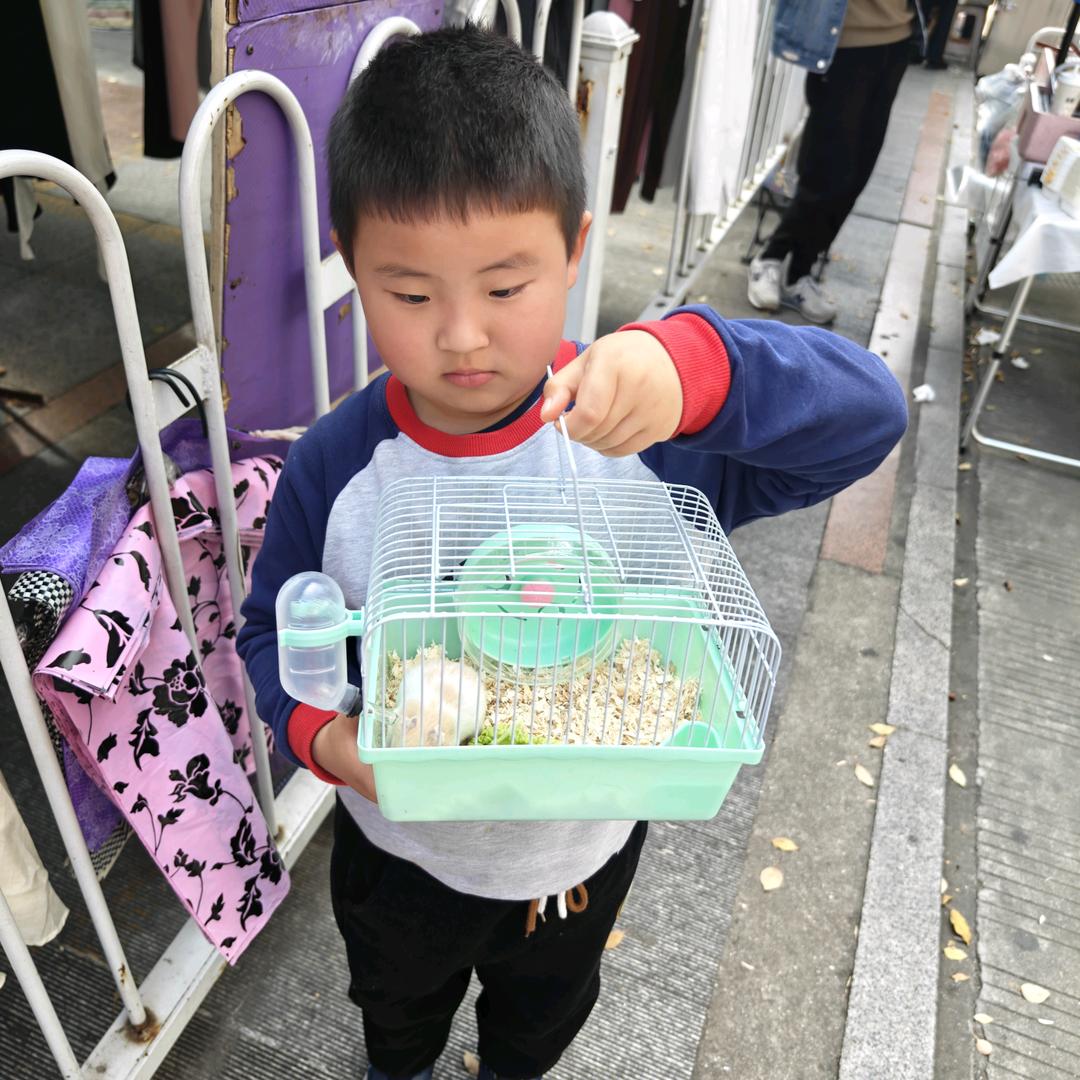 喵喵家的小草