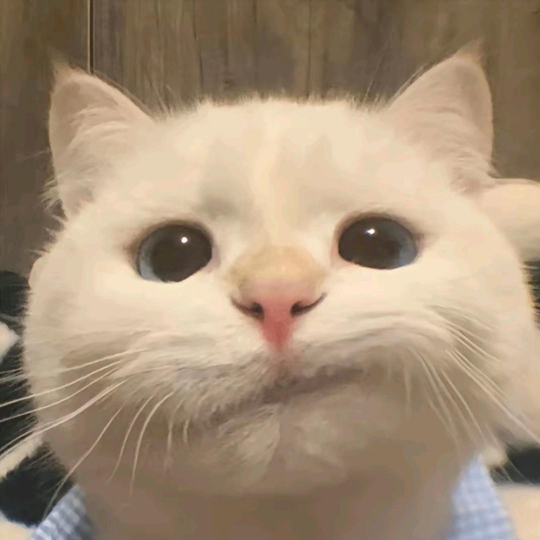 f.