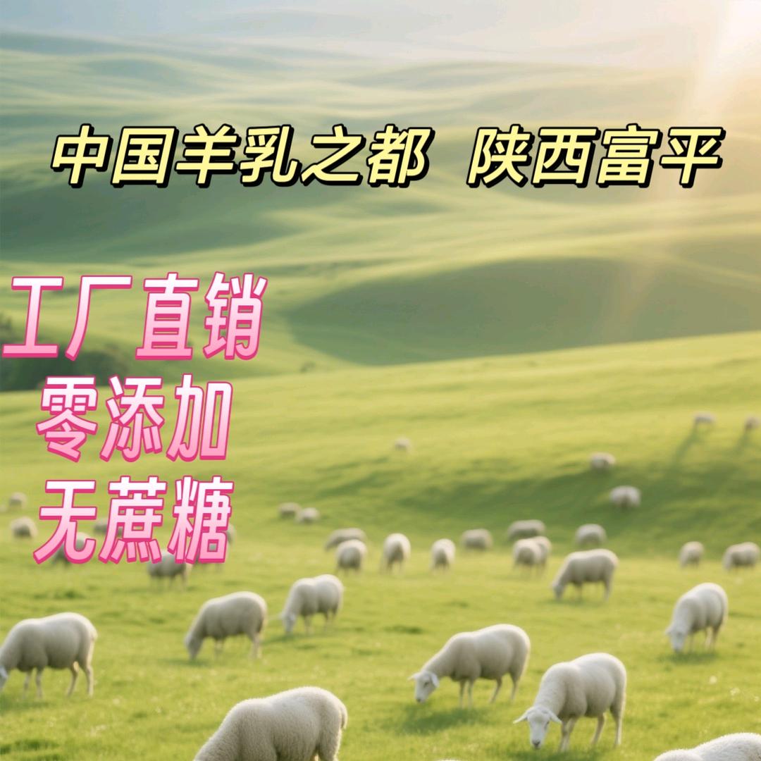 羊小姐会咩咩