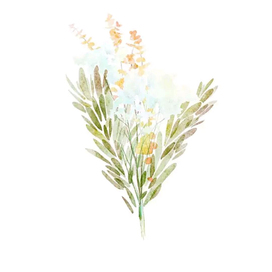 哔哩咿呀微老师本人