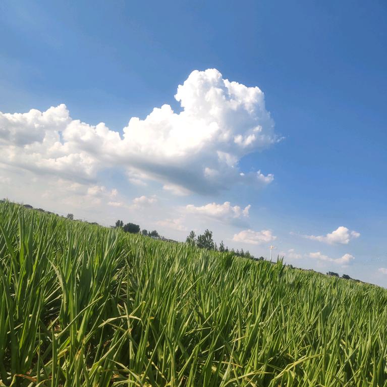🥀ಇ雨过ജ天晴ഒᩚ࿐