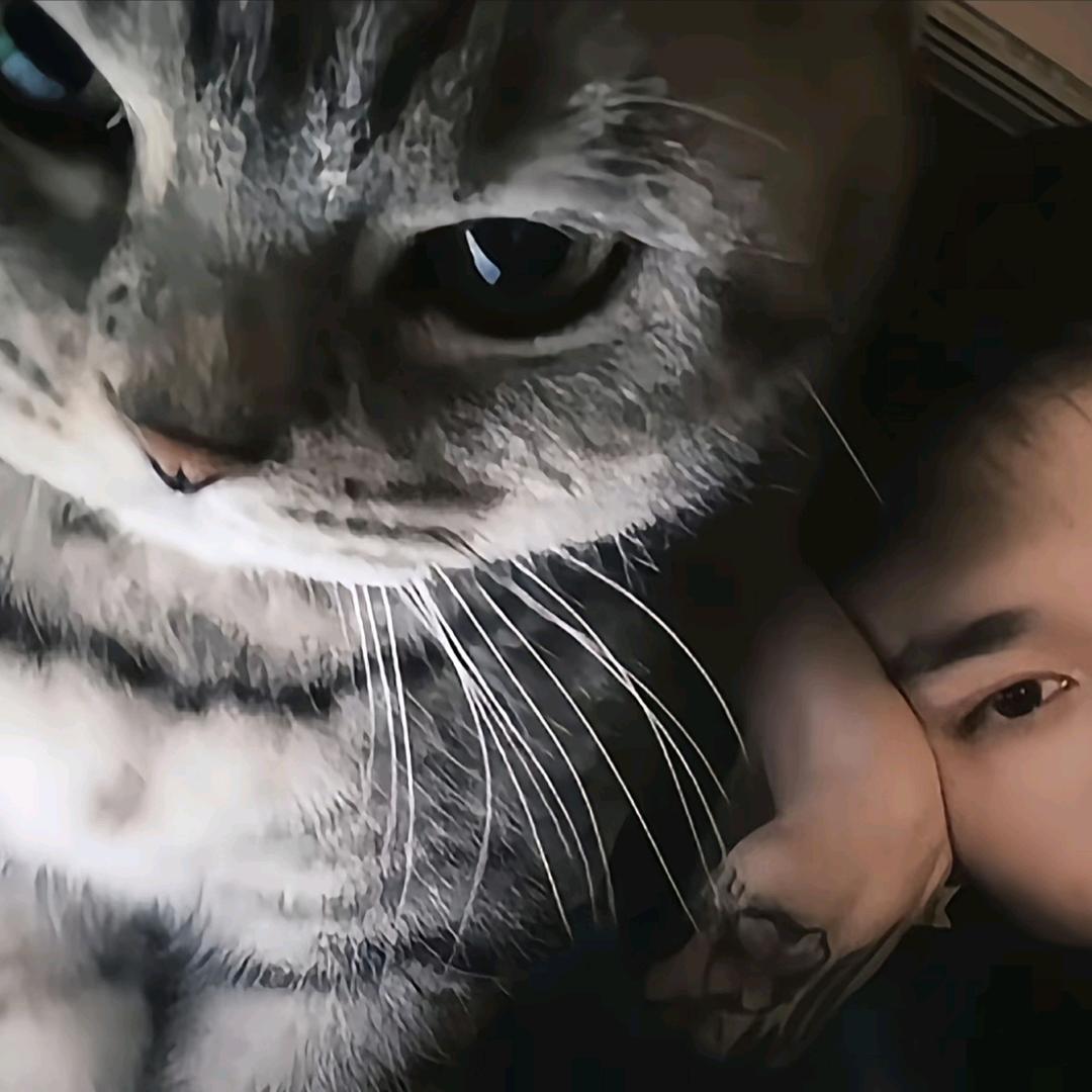 ，，，，，，，，，，，