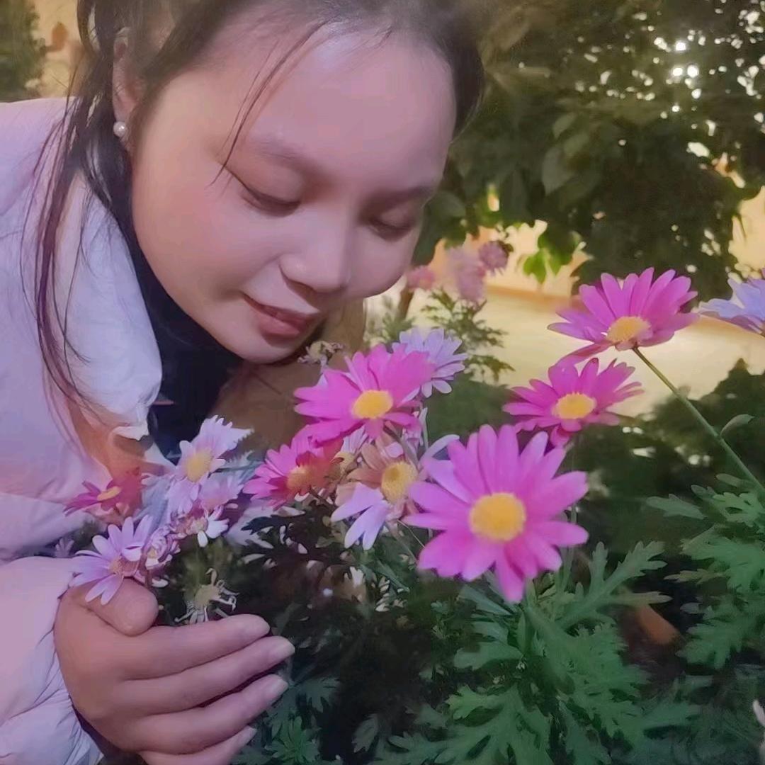 柿柿如意