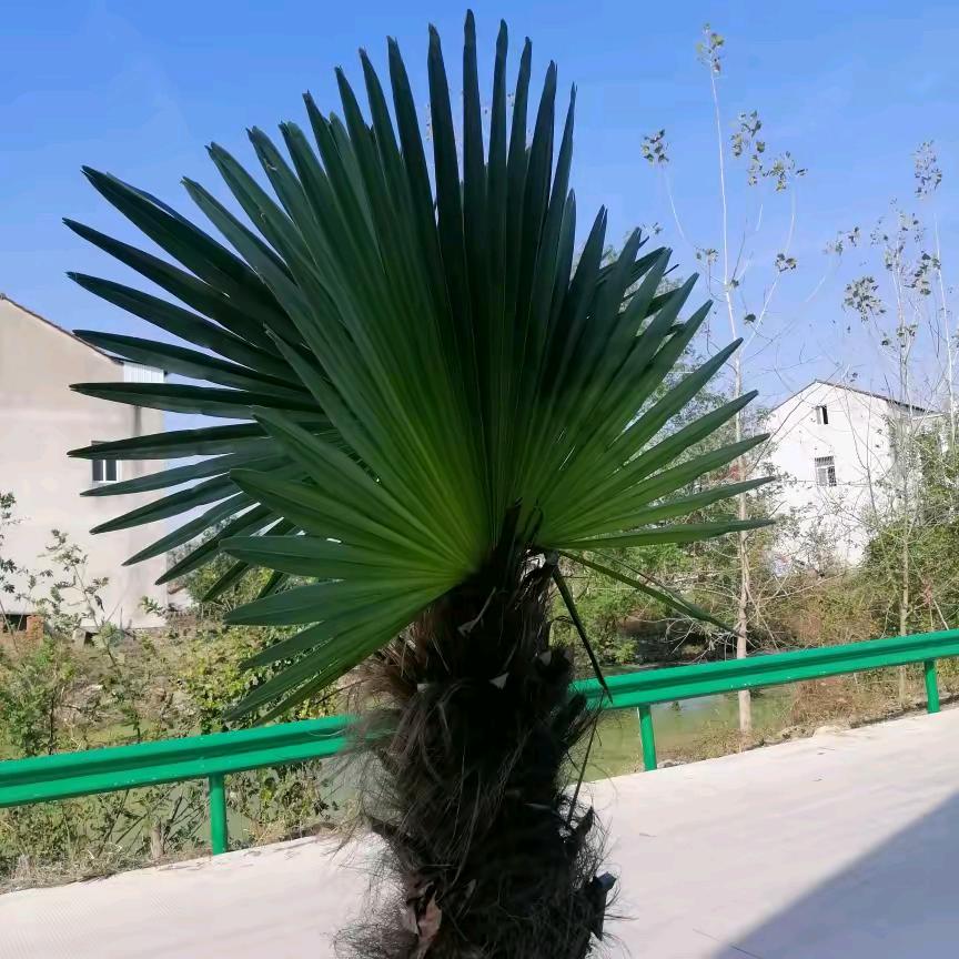 一r。‘‘l…二