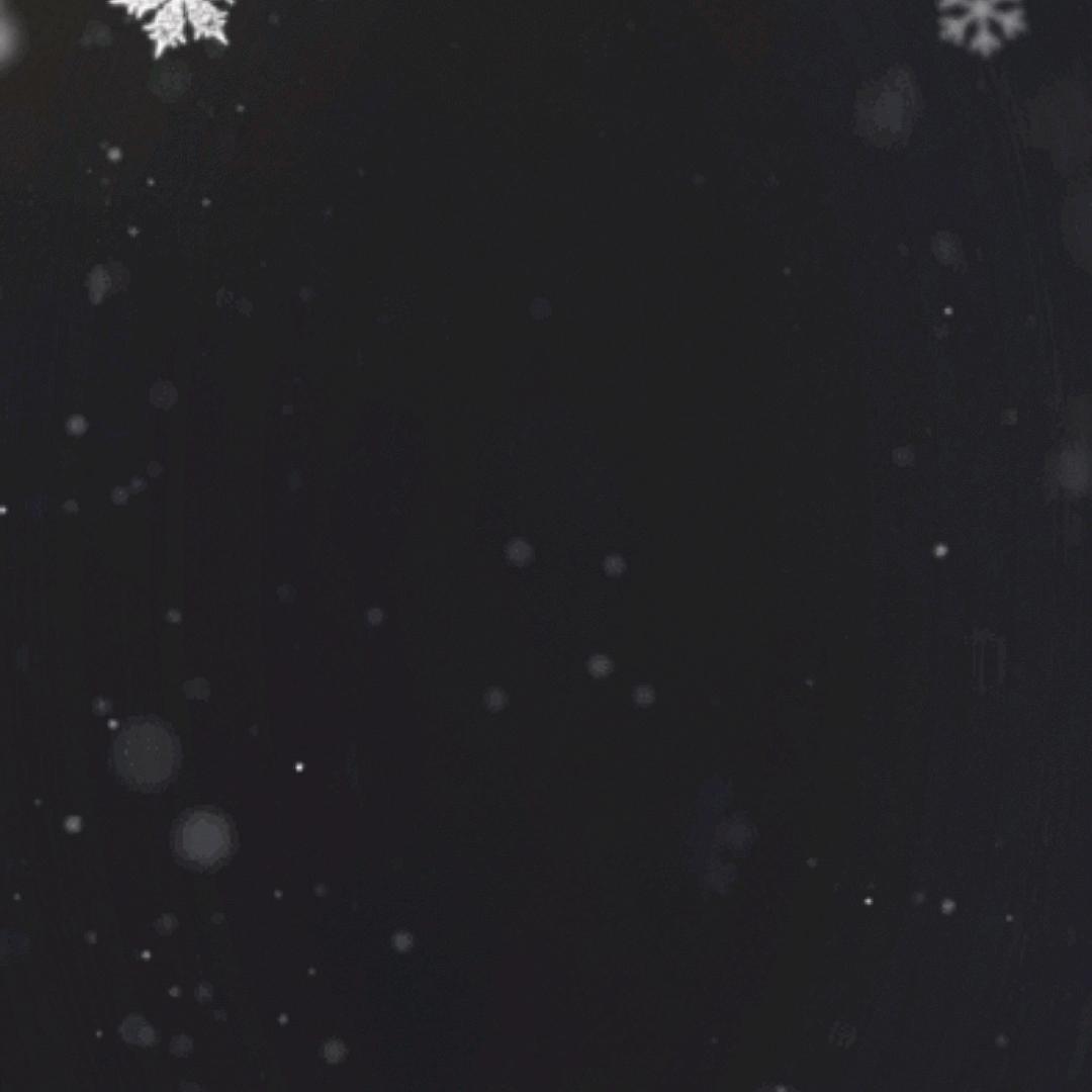 风哥