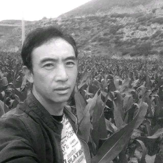 西吉龙哥