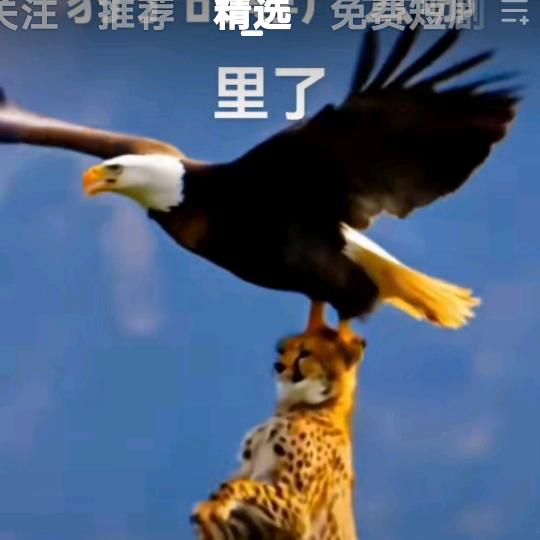 别拿时间堵人心