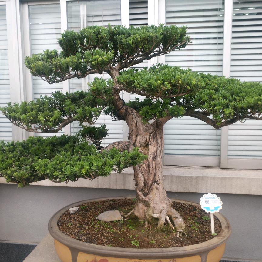 悟缘悟道