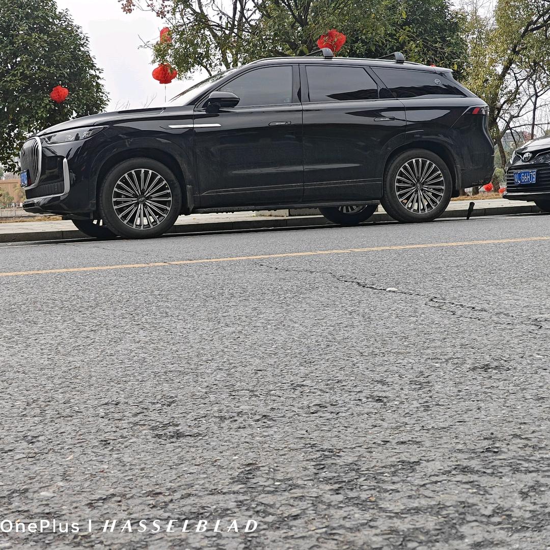 ୧⍤⃝🌴虎子同行╲ ༽ ╭