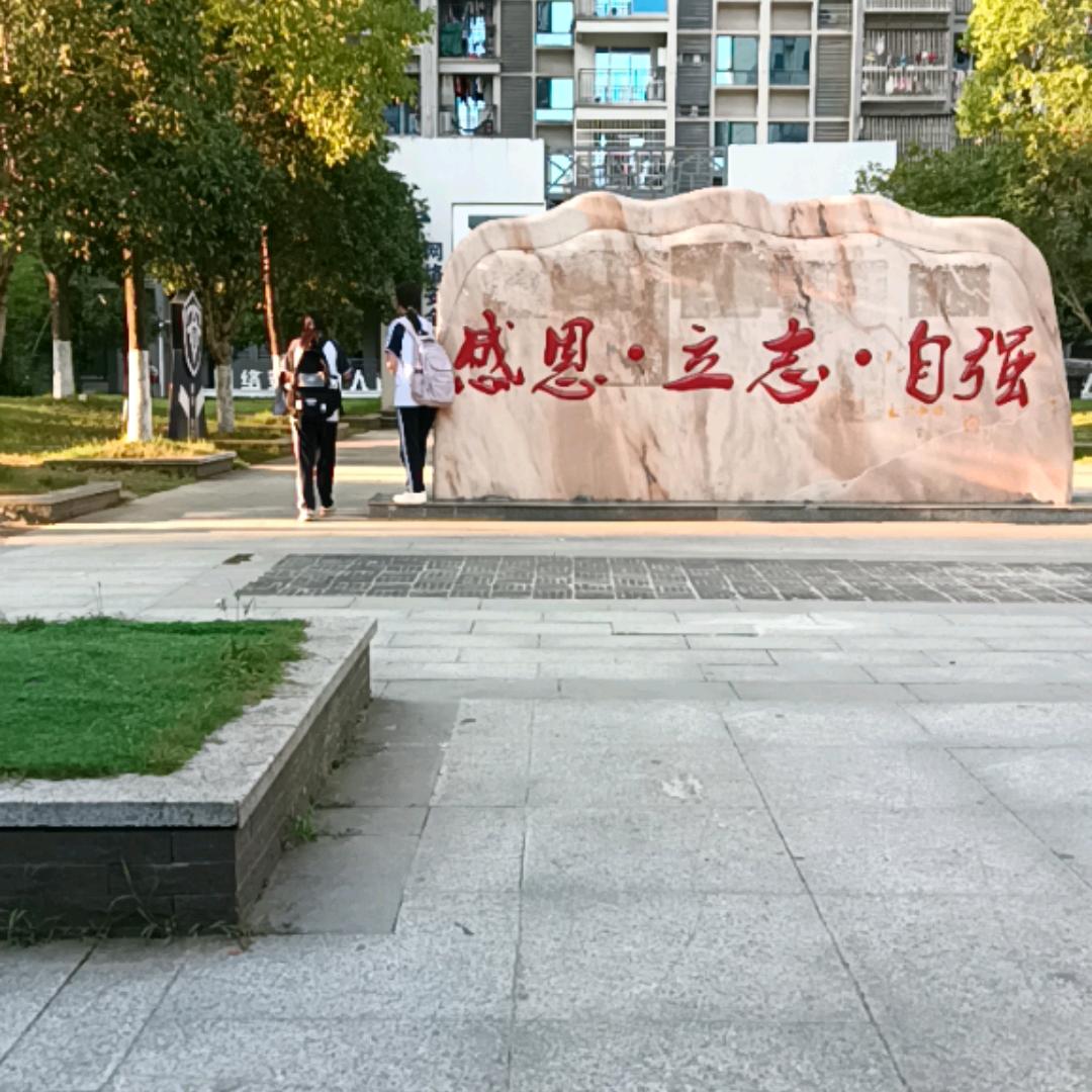 天宏纸业有限公司