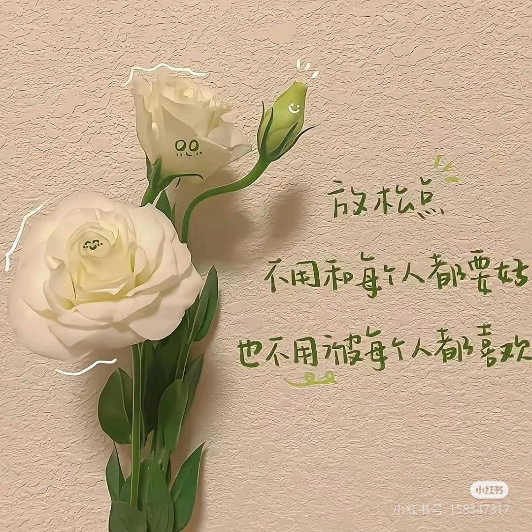 暖暖的碎碎念念☀️