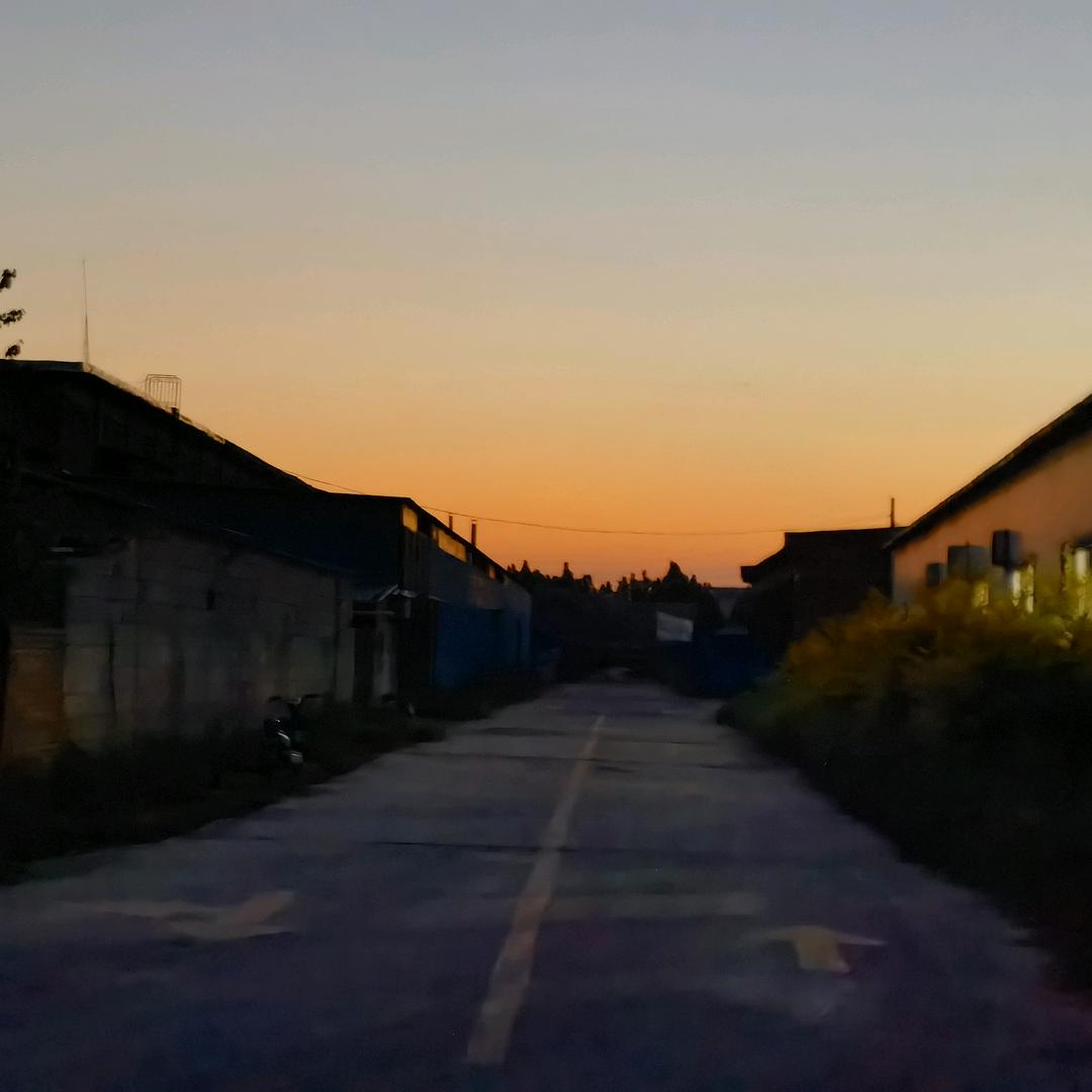 sun头像