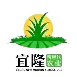 胥楚霸王