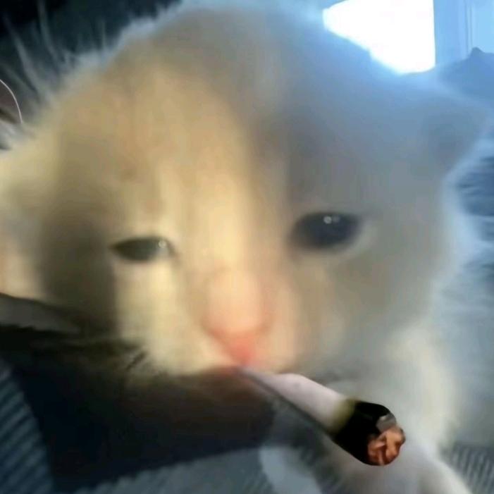 🍱