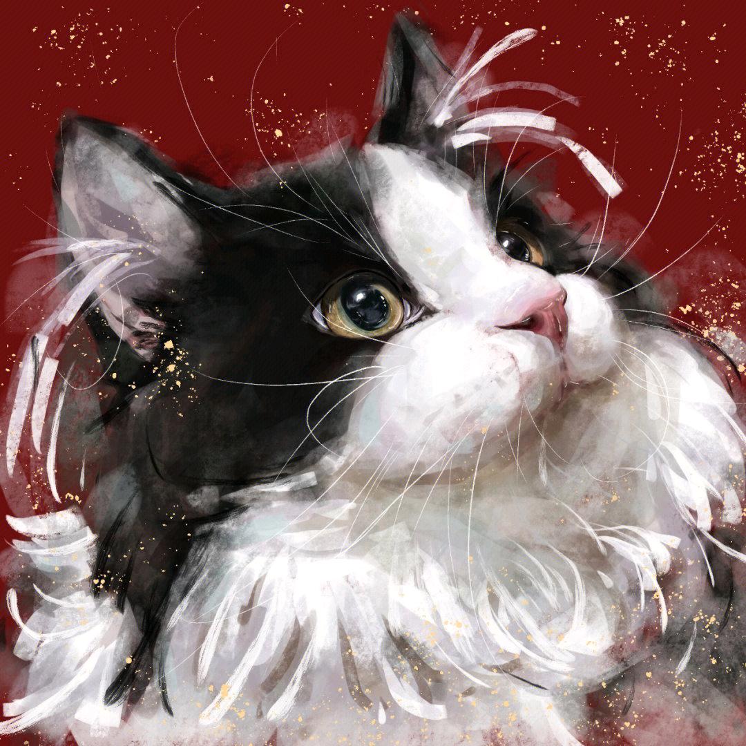 爱喝可乐的猫丶