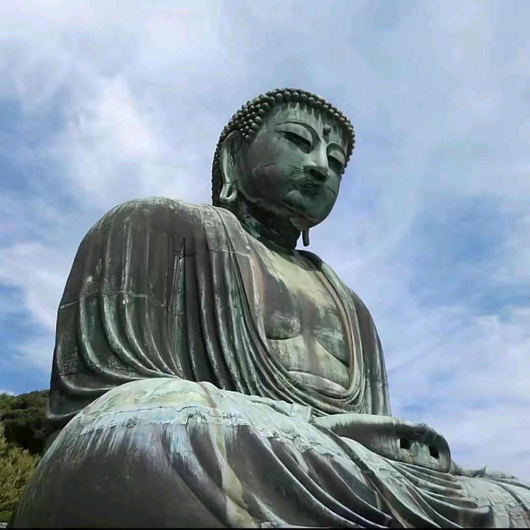 蹲路边看猪