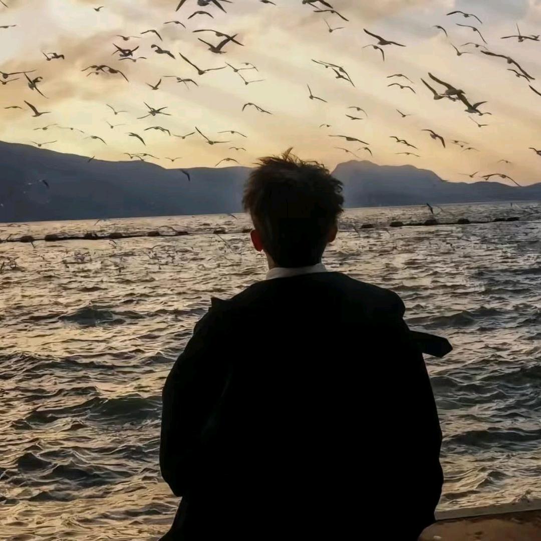 ε٩(๑> ₃ <)۶ з虎