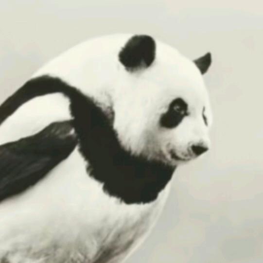 小郎君