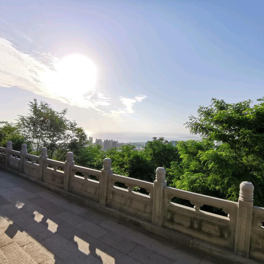 小梓桐