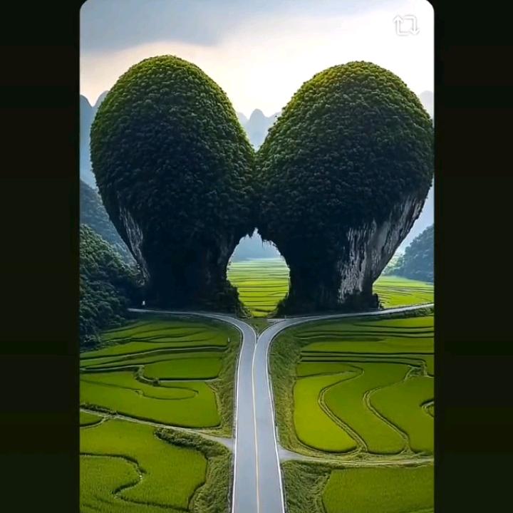 战狼