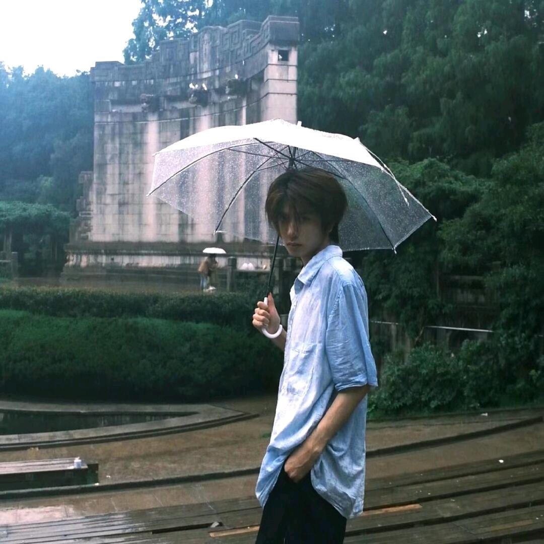 莲