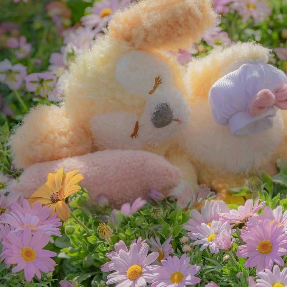 爱宝宝的美乐蒂