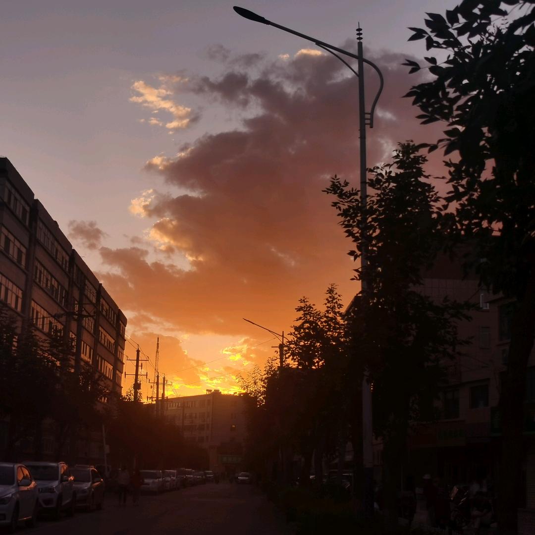 李旭阳