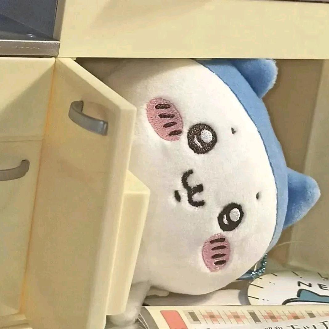 助之新的小白